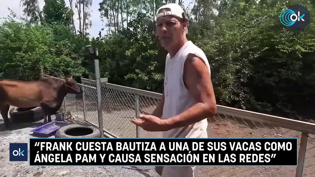 "Frank Cuesta bautiza a una de sus vacas como Ángela Pam y causa sensación en las redes"