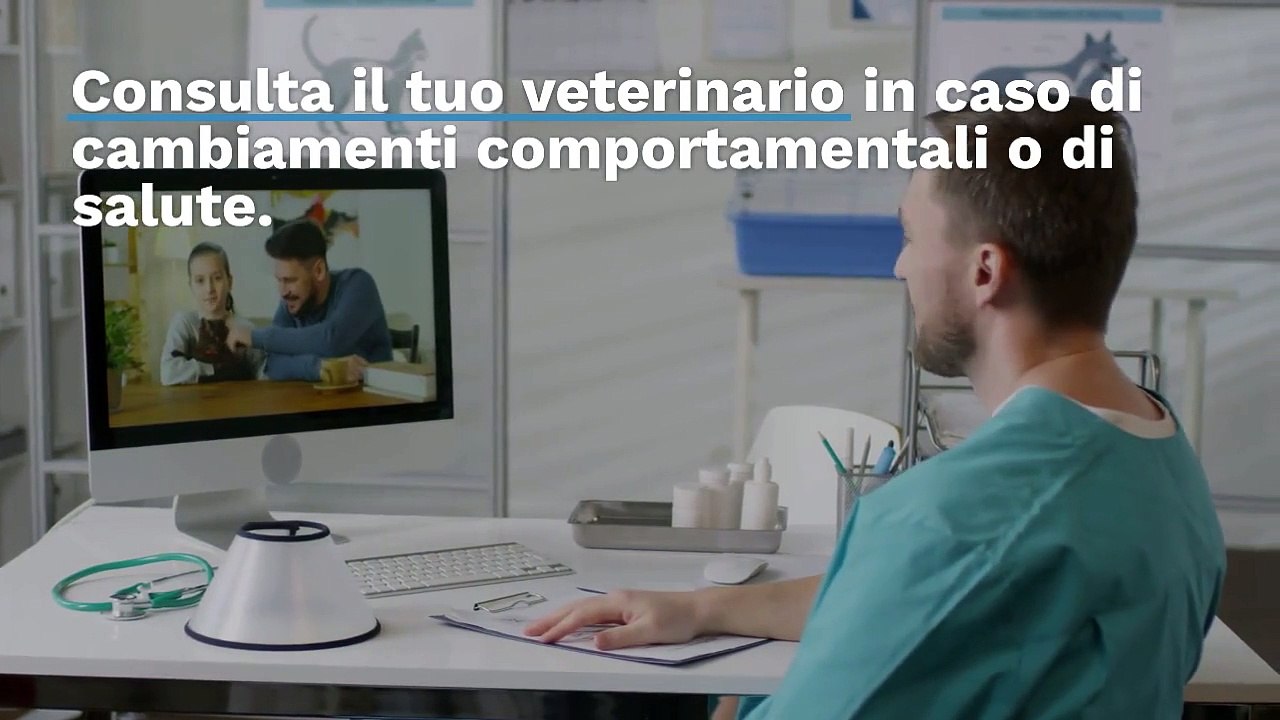 I 100 passi per essere il miglior padrone ti cane e gatti