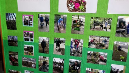 Zespół Szkół Specjalnych w Lesznie ma piękny teren wokół szkoły