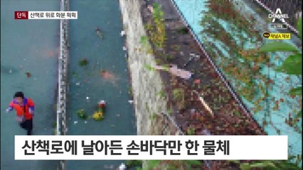[단독]산책로 위로 화분 6개 ‘쿵쿵’…경찰 출동 이후에도 이어져