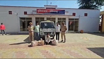 288 देशी शराब के पव्वे पकड़े, एक जना गिरफ्तार