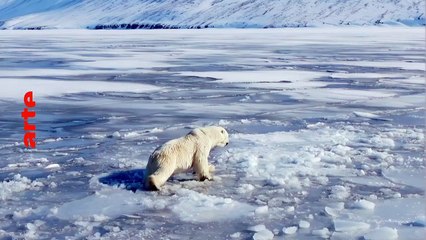L’Arctique, une région bouleversée - 21 octobre