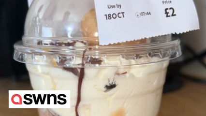 Video shows fly squished in supermarket dessert