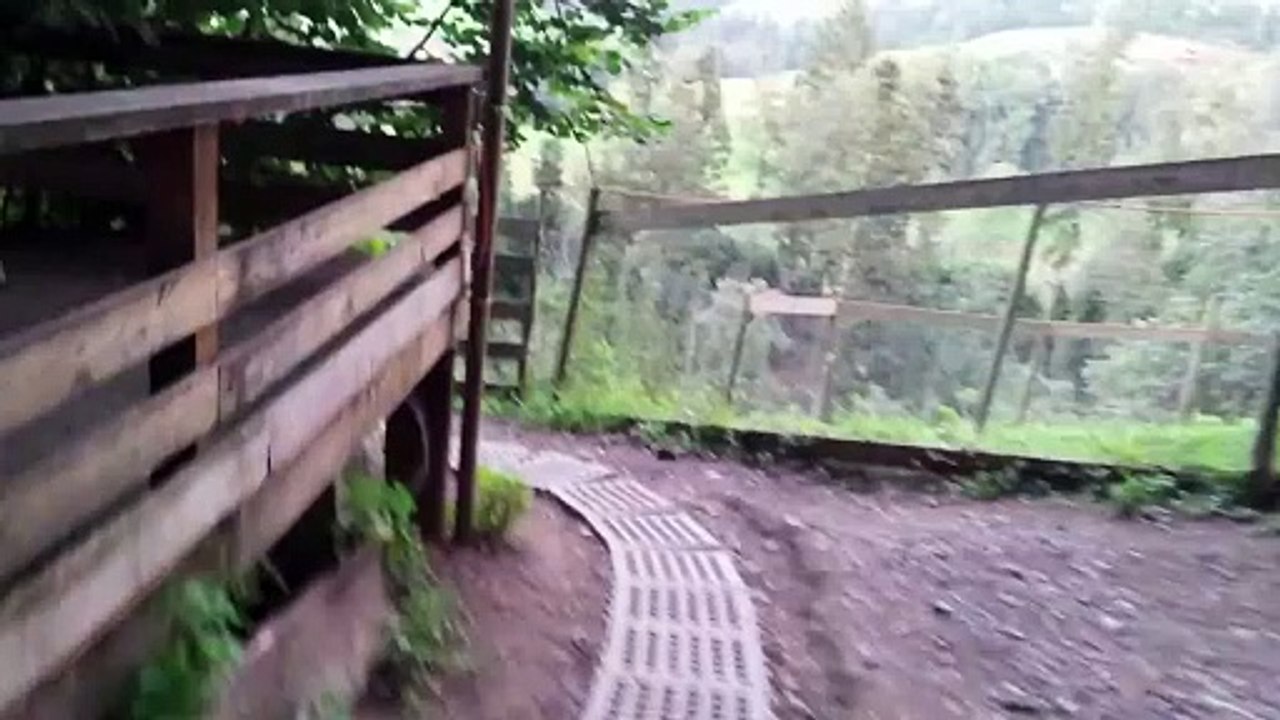 Kühe holen manuel zeitler 2020