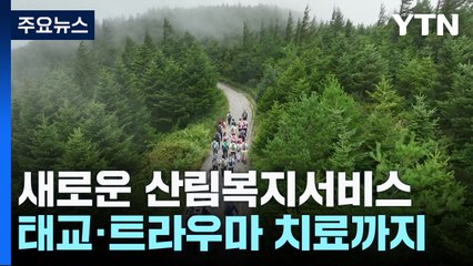 숲에서 태교부터 치유까지...산림복지 대폭 확대 / YTN