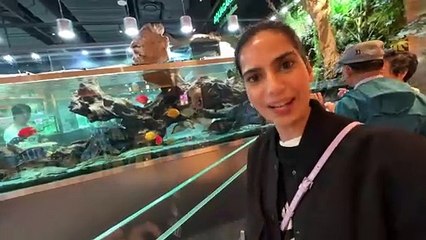 Doctor ke Paas Jana pada  South Korea Mein