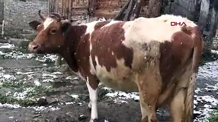 Bir ilimize kış geldi! Her yer beyaza büründü