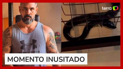 Juliano Cazarré flagra cobra dentro de casa: 'Esperando os bombeiros'