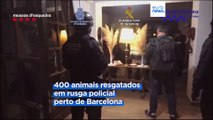 Polícia espanhola põe fim a rede de tráfico de animais, que se encontravam em condições precárias