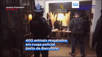 Polícia espanhola põe fim a rede de tráfico de animais, que se encontravam em condições precárias