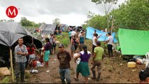 Desplazados en Campeche por la violencia