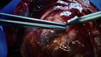 Dra. Lucía Capítulo 13 📖