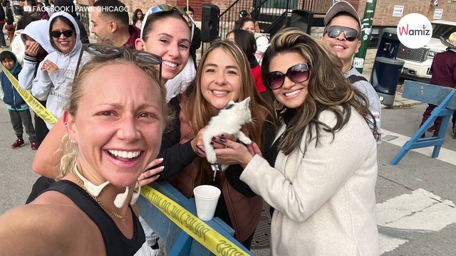 Frau läuft ihren ersten Marathon: Das Schicksal schlägt 8 km vor dem Ziel plötzlich zu