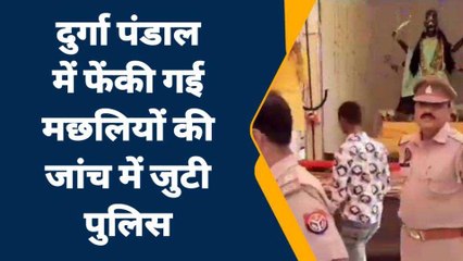 जालौन: दुर्गा पंडाल में फेंकी मरी हुई मछलियां,भक्तों में आक्रोश
