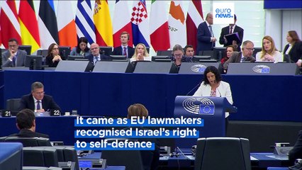 EU urged to help stop Gaza massacre as MEPs call for 'humanitarian pause'