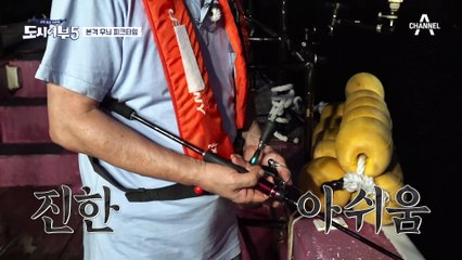 주상욱 폼 美쳤다☆ 역대 도시어부 무늬오징어 기록 갱신 임박?!