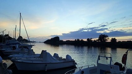 Retone sull'Arno di fronte a San Rossore