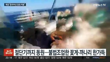 수산물 싹쓸이 중국어선 급증…해경, 퇴거→나포 전환