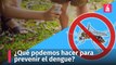 Dengue en República Dominicana: situación actual y recomendaciones