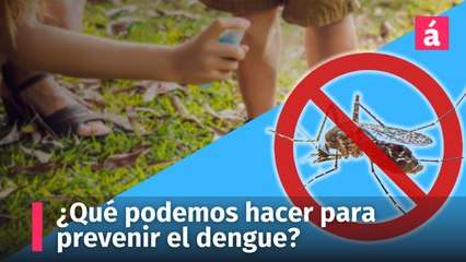 Dengue en República Dominicana: situación actual y recomendaciones