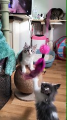 après la sieste on joue 