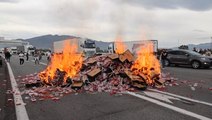 Viticultores y bodegueros de Francia protestan contra las importaciones españolas