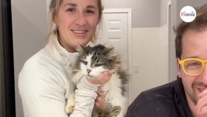 Des bruits étranges se font entendre pendant l'enterrement de leur chat : « C'est un miracle » (vidéo)