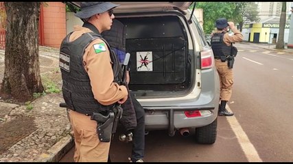 Cascavelense é detido pela ROTAM com 467 kg de maconha na PR-317