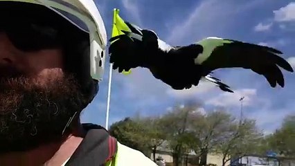 C'est la saison à laquelle il faut s'attaquer