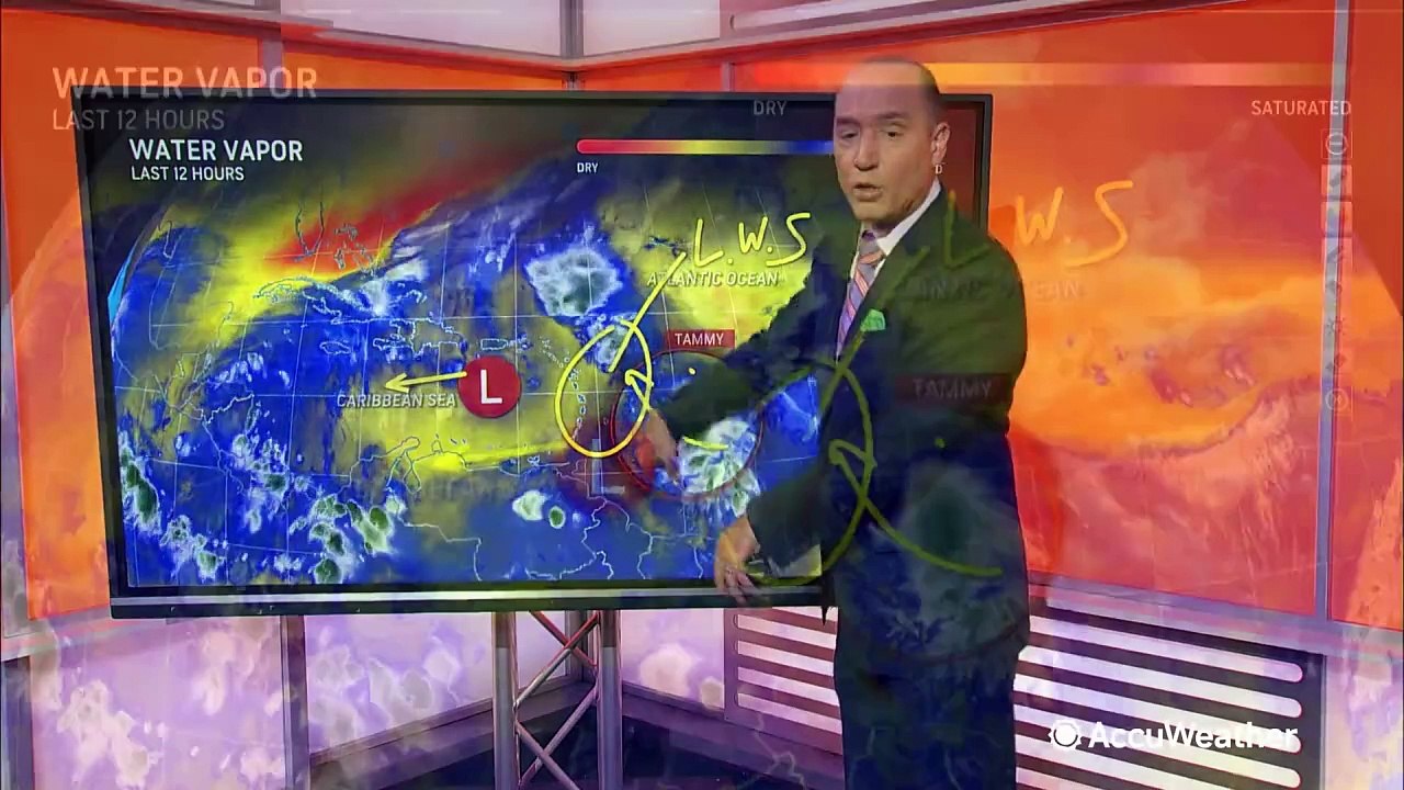 Tropical Storm Tammy to swipe Caribbean