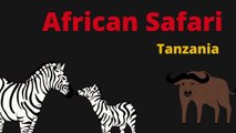 Africa | Wildlife | Travel | Safari  tanzania  africa  travel