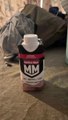 Muscle Milk® Genuine Non Dairy Strawberries 'n Creme Protein Shake