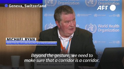 WHO calls for daily humanitarian aid flow into Gaza