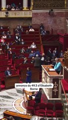  Elisabeth Borne utilise une 13ème fois le 49.3 sur le projet de loi des finances