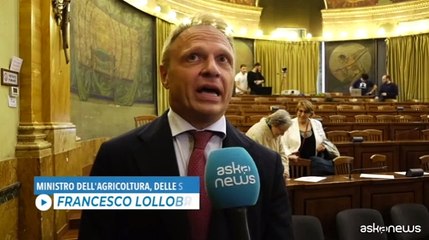 Agricoltura, Lollobrigida: dalla storia per guardare al futuro