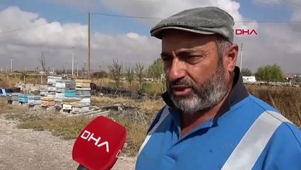 Arı Kovanı Hırsızı Yakalandı, Kovanlar Sahibine Teslim Edildi