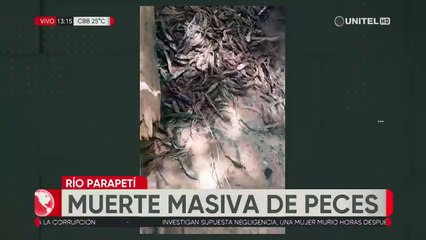 Muerte masiva de peces en el río Parapetí, pobladores piden ayuda