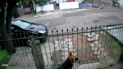 Suspeito de roubar bicicleta de adolescente é perseguido e atropelado