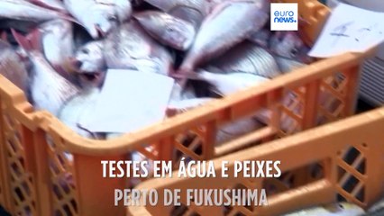 Cientistas testam peixes perto da central de Fukushima