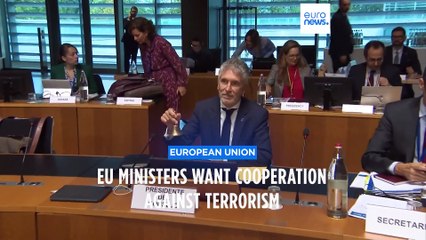 EU ministers debate functionality of border system in wake of terror attacks