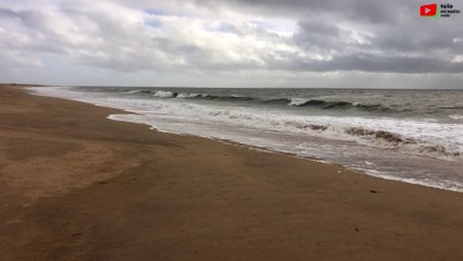 L'Aiguillon-la-Presqu'île  |  En mode Automne  |  Télé Noirmoutier Vendée