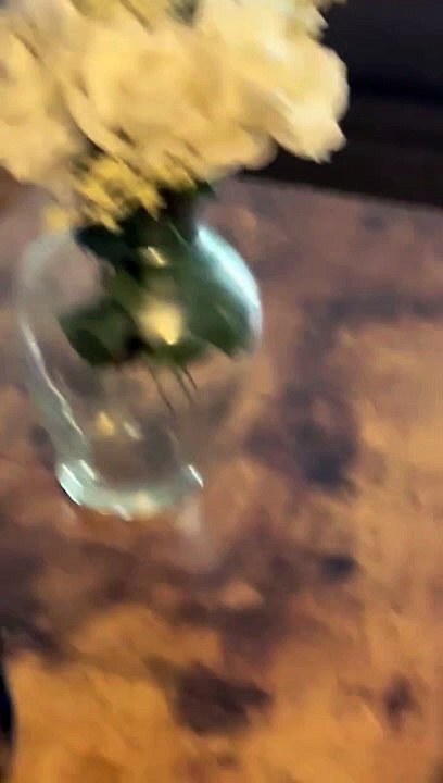 Un chiot confiant joue avec un chien plus gros