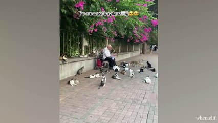 When a stray Cat adopts you