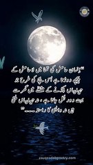 Ashfaq Ahmad  Bano Qudsia Life Lesson Quote #ashfaqahmedquotes #banoqudsiaquotes #zauqeadab (2)