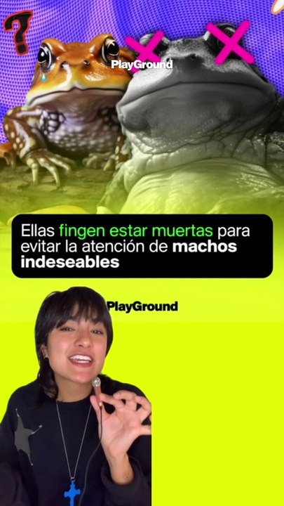 Unas ranas muy humanas