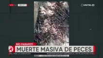 Denuncian una mortandad de peces en el Río Parapetí creen que es por la sequía
