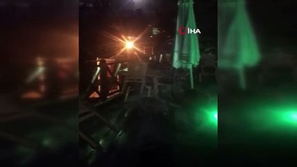 Kafe işletmecisinin aç kalan tilkiyle konuşması gülümsetti