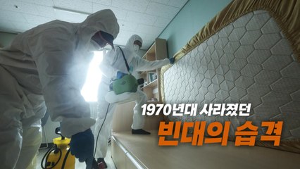 [영상] 국내 덮친 빈대의 습격...사라졌다 다시 나타난 이유는? / YTN