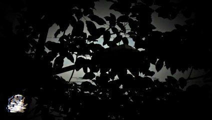 LA DESGRACIA DE MI HERMANA (Historias De Brujería)