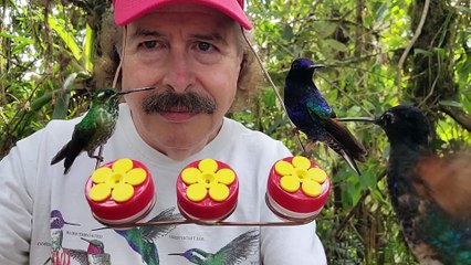 Hummingbird Hat Feeder